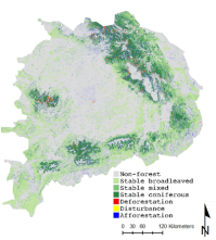 Verandering van bos in de Roemeense Karpaten tussen 1995 en 2010 - Steven Vanonckelen