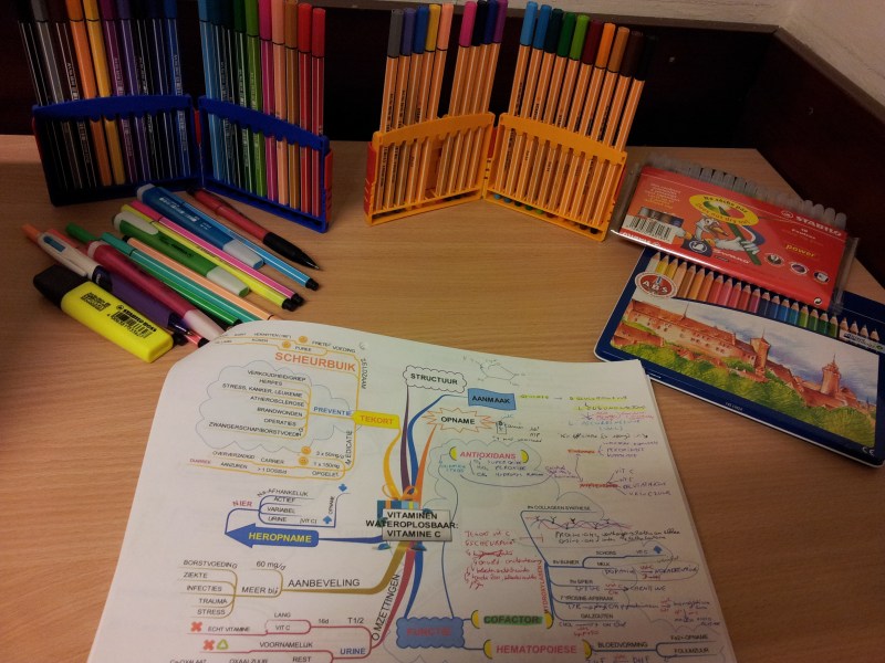 Mijn succes is te danken aan mindmapping. Deze mindmap is gemaakt met iMindmap, www.ThinkBuzan.com 