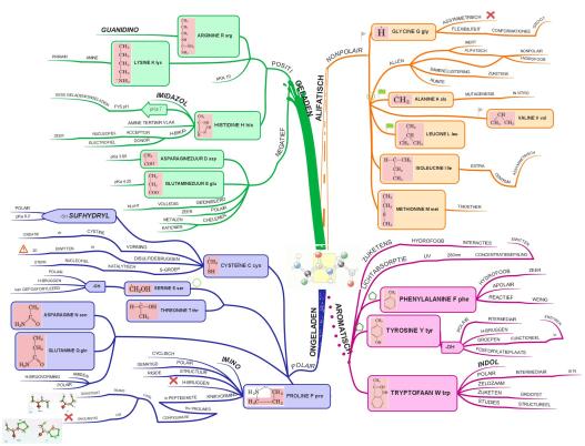 Dit is een voorbeeld van een mindmap die ik maakte voor biochemie met een aangekocht iMindmap programma, te vinden op www.ThinkBuzan.com